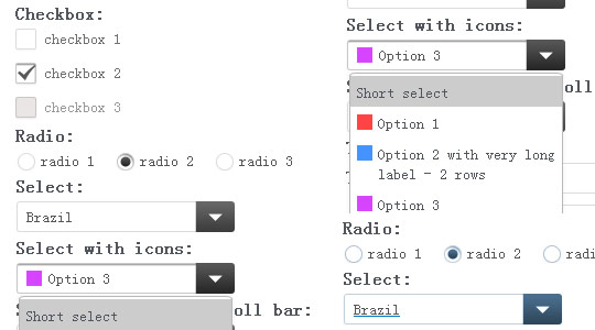 美化input radio select等输入框，select选项带图片