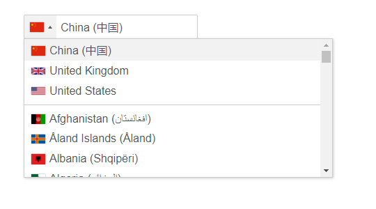 下拉菜单select带图标